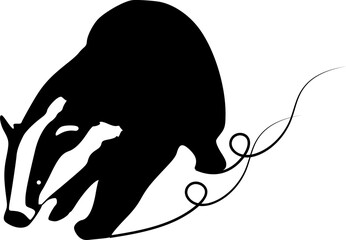 ilustration badger