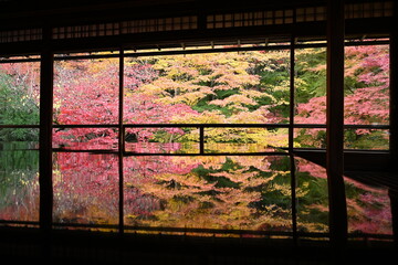 瑠璃光院の紅葉