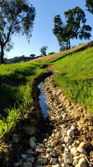 Obraz premium image of a field of grass with a dirt ditch, vertical
