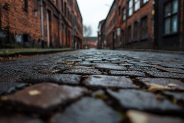 Cobblestone alleyway, urban street, autumnal, low-angle view, photo