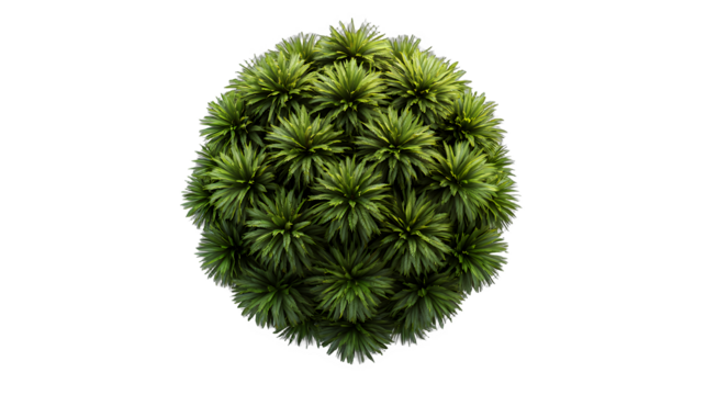 green plant in the shape of a circle on a transparent background, PNG image, PNG file, Generative art.