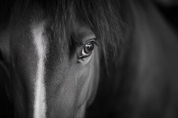 Intense gaze reveals connection. Generative AI