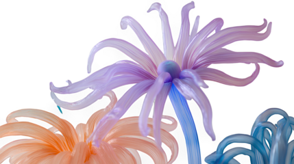 a flower with multiple colors of water on a transparent background, PNG image, PNG file, Generative art.