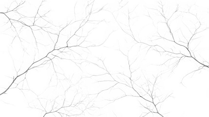 Fototapeta premium black branches of a tree at night PNG image, PNG file, Generative art.