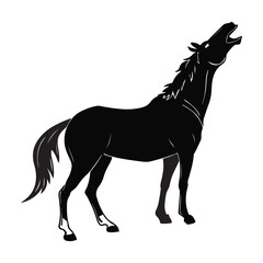 Obraz premium HORSE SILHOUETTE BLACK