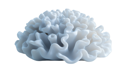 a 3d illustration of a coral on a transparent background, PNG image, PNG file, Generative art.