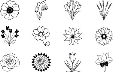 Elegant Black and White Floral Line Art Designs Illustrations