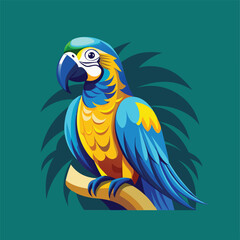 blue and yellow macaw ara © Pramila