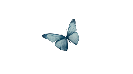 a white butterfly with blue wings on a transparent background, PNG image, PNG file, Generative art.