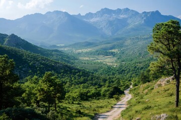 Fototapeta premium Winding dirt road through lush green valley leading to majestic mountains
