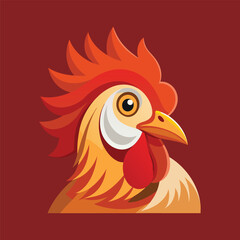 rooster isolated on white background