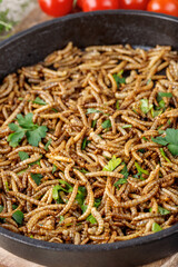 Cooked fried edible mealworms with spice and herbs in cast iron frying pan on wooden board. Meal worms as alternative protein source in eating.