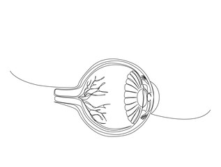 Obraz premium Continuous one line drawing of human eyeball retina. Human eyeball in single line draw illustration. Editable stroke.