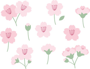かわいい桜の花イラストセット