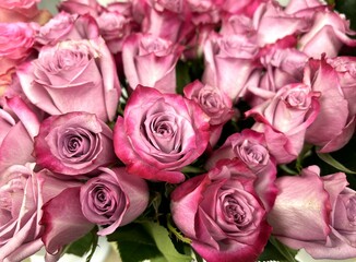 Close-up of pink rose bouquet for delivery from flower shop as congratulations for Valentine's Day, Birthday, Wedding, Mother's Day