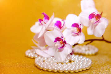 A branch of white orchids on a shiny gold background

