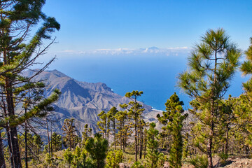 Blick über den Tamadaba-Naturpark auf den Teide.  Ausblick vom Tamadaba-Naturpark auf Gran Canaria...