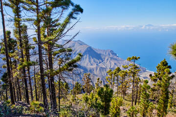 Blick über den Tamadaba-Naturpark auf den Teide.  Ausblick vom Tamadaba-Naturpark auf Gran Canaria...