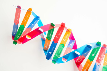 DNA molecule spiral structure model isolated on white background, chromosome and gene chemical...