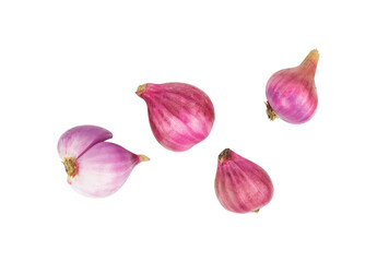 Bunch of shallots isolated on white background