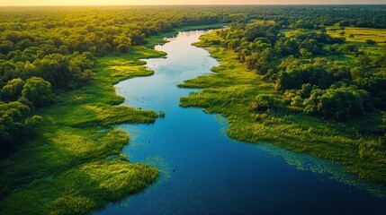 A serene aerial view of a winding river surrounded by lush greenery and vibrant vegetation under a golden sunset.