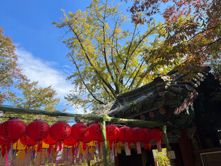 Fototapete bei efototapeten.de bestellen   