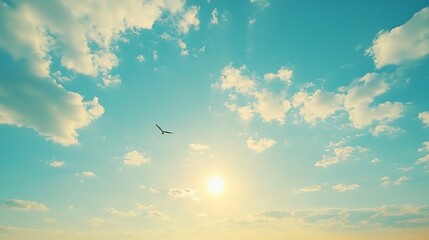 Bird soaring sunlit sky, clouds background; peaceful nature scene