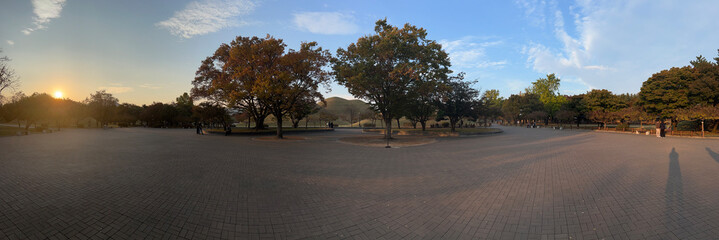 Fototapete bei efototapeten.de bestellen   