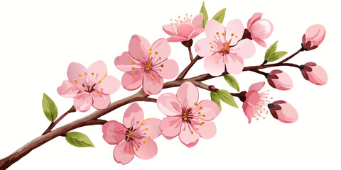 Fototapeta premium Cherry Blossoms in Full Bloom - Elegant Watercolor Floral Illustration.