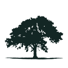 Tree Silhouette