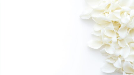 Photo of white flowers Floral Wedding Background with Copy Space Macro shot of petals blossoms cream wedding sympathy flowers