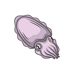 Icon design cuttlefish. Vector design