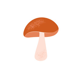 Boletus or porcini mushroom isolated on white background. Fall or autumn seasonal food icon. Edible fungus. Hand drawn flat cartoon vector illustration