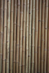 Bamboo Wall Panel