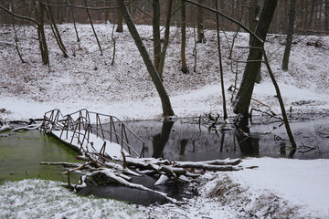 The frozen Briesetal, snow-covered trees, frozen water, Federal State of Brandenburg 