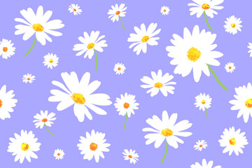 seamless pattern with daisies , chamomile. purple backgrounds color. cute and beautiful flowers. Vector
