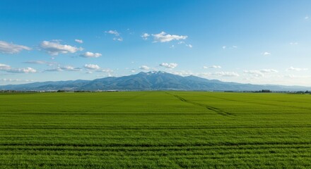 Naklejka premium Green Field with Mountain View Under Blue Sky Landscape Scenery