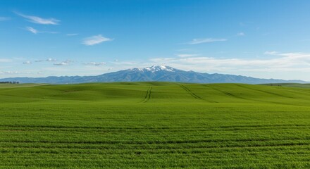 Fototapeta premium Green Field Landscape with Mountain View on Clear Sky Day