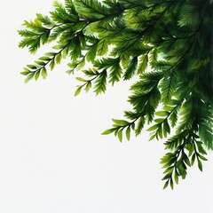 Fototapeta premium Lush green leaves cascade gracefully, creating a vibrant natural frame against a clean white background.