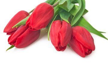 Bouquet of red tulips. Spring fresh flowers, mockup for mothers day, valentine or wedding greeting card 
