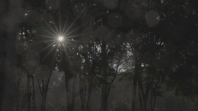 Tarde lluviosa en Bogot&aacute; S-log 4k i 