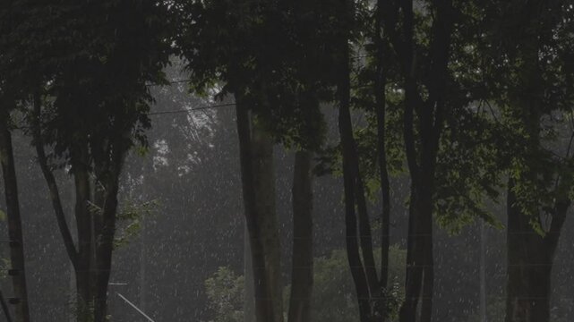Tarde lluviosa en Bogot&aacute; S-log 4k i 