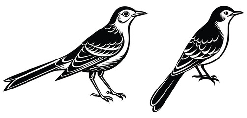 Mockingbird set jump vector silhouette color and white background