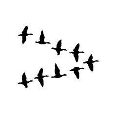 Vector Wedge of Geese Black Silhouette Icon Isolated on White Background