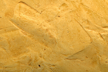 
plaster art background in yellow sand color