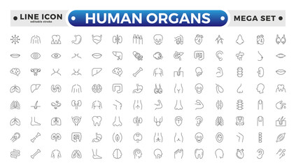 Human Organs outline icon, Organs, anatomy flat line icons set. Human bones, stomach, brain, heart, bladder, and nervous system vector illustrations. Editable stroke outline icon.