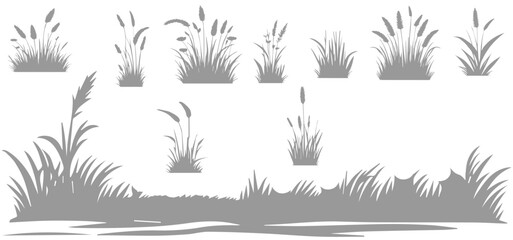 A collection of plants with different shapes and sizes of grass
