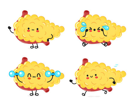 Funny Pancreas characters bundle set. Vector hand drawn doodle style cartoon character illustration icon design. Cute Pancreas mascot character collection
