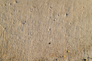 Sand Beach Texture