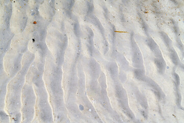 Sand Ripple Texture